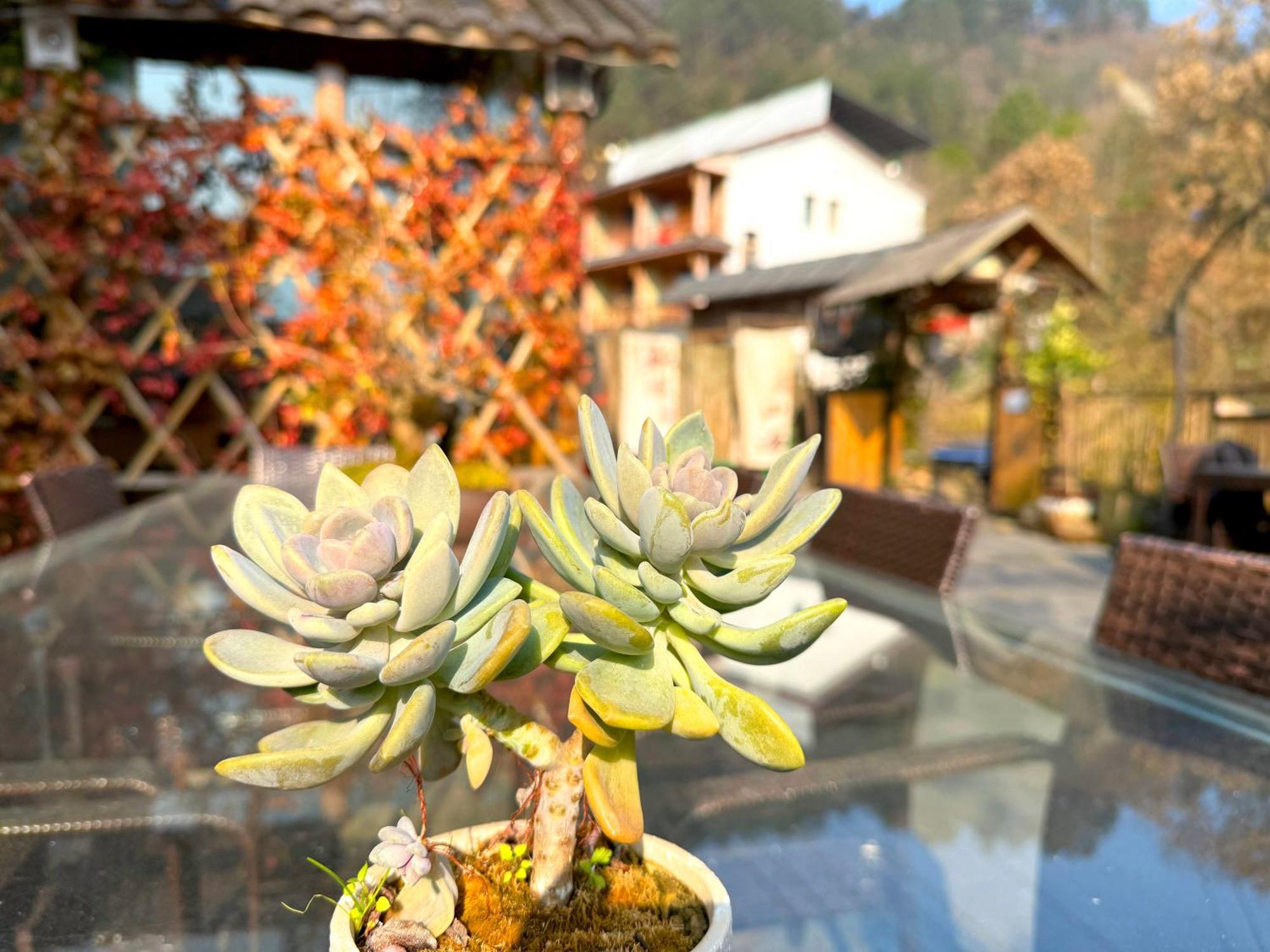 Zhangjiajie Forest Park Youth Hostel Eksteriør billede